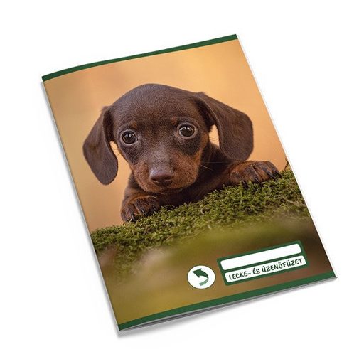 Leckefüzet és üzenőfüzet pd kisalakú 40 lapos