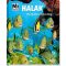 Halak - Víz alatti csodavilág